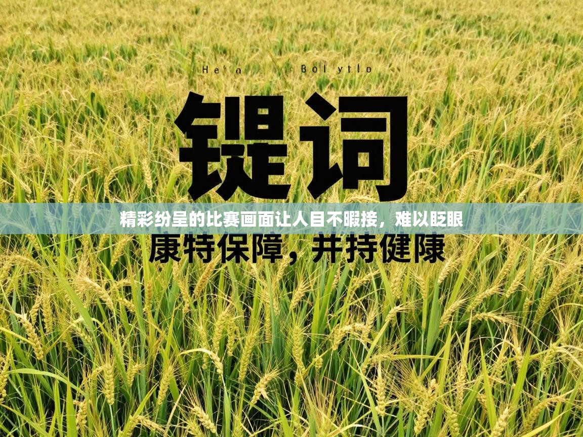 精彩纷呈的比赛画面让人目不暇接，难以眨眼