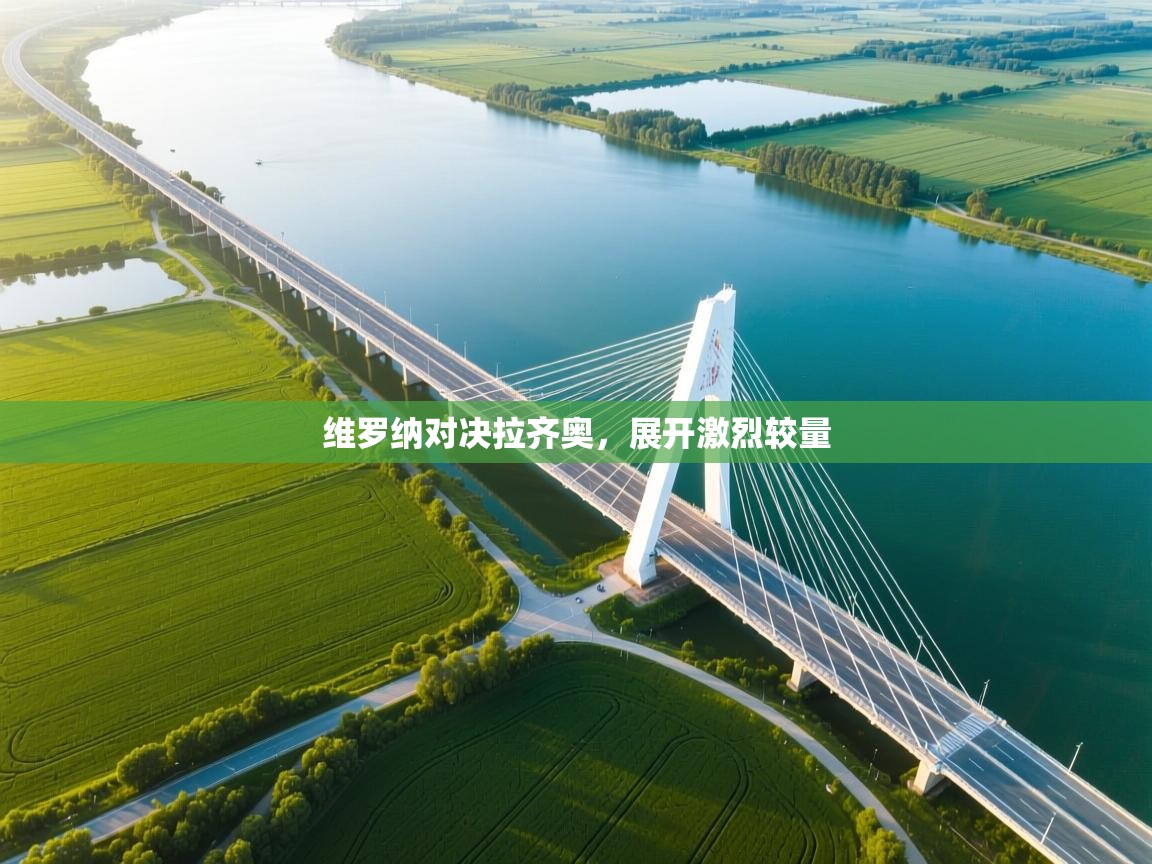 维罗纳对决拉齐奥，展开激烈较量